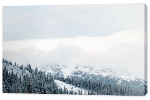 scenic view of snowy mountains with pine trees and white fluffy clouds