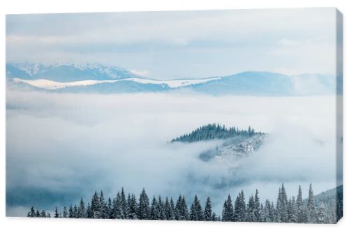 scenic view of snowy mountains with pine trees in white fluffy clouds