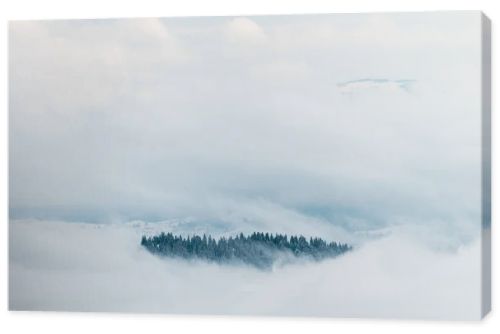 scenic view of snowy mountains with pine trees in white fluffy clouds