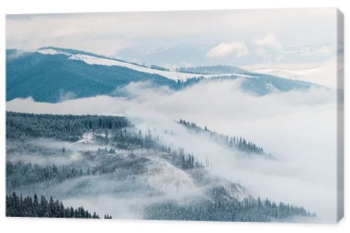 scenic view of snowy mountains with pine trees in white fluffy clouds