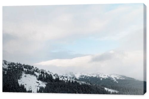 scenic view of snowy mountains with pine trees in white fluffy clouds