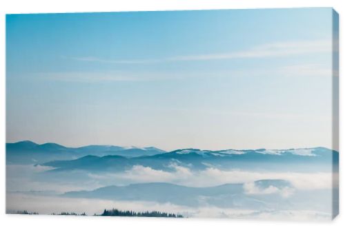 scenic view of snowy mountains with pine trees in white fluffy clouds