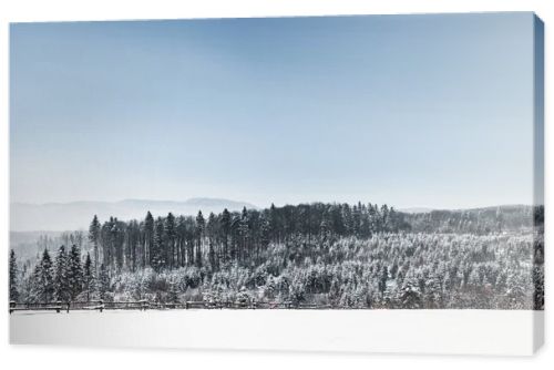 landscape with forest and carpathian mountains covered with snow