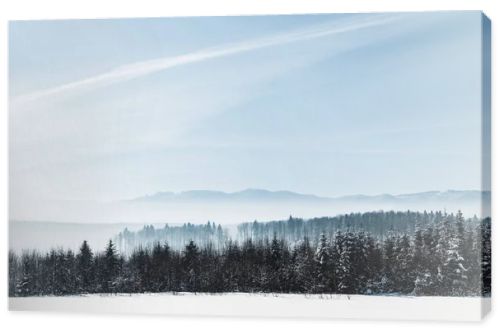 blue cloudy sky with sunshine and winter snowy mountain forest in carpathians