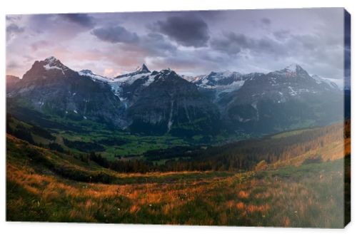 scenic view of fields and mountains under overcast sky