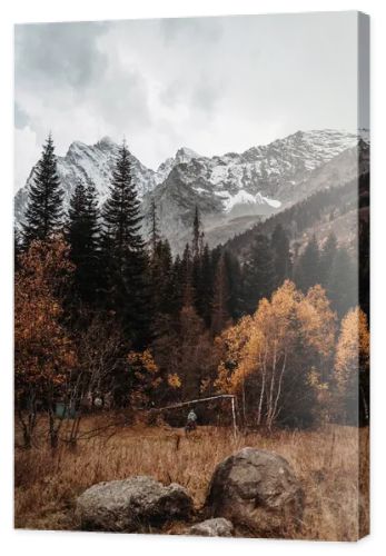 Beautiful autumn landscape in the black mountains, stones lie on the yellow dry grass. Trees with golden leaves and green pines at the foot of the snowy mountains. Gray sky, autumn, winter. Dombay