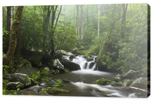 Smoky Mountains