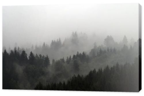 Foggy mountains