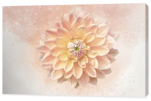 Bright orange Dahlia: Watercolor style flower illustration for background, invitation card, birthday card