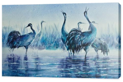 Cranes in the misty morning wading in the lake water. Reeds in the background. Picture created with watercolors.