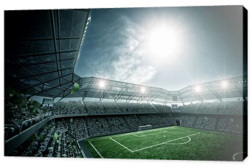 An imaginary stadium