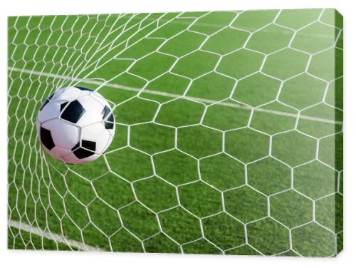 Soccer football in Goal net with green grass field.