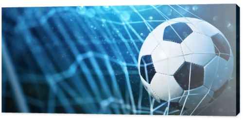 Soccer ball in goal