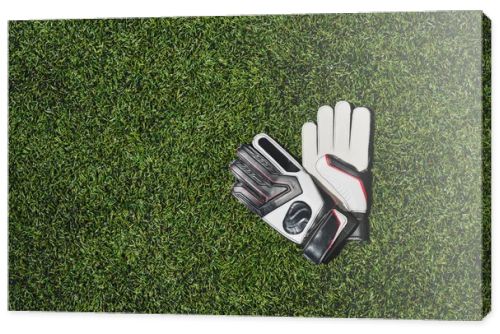 goalkeeper gloves on pitch