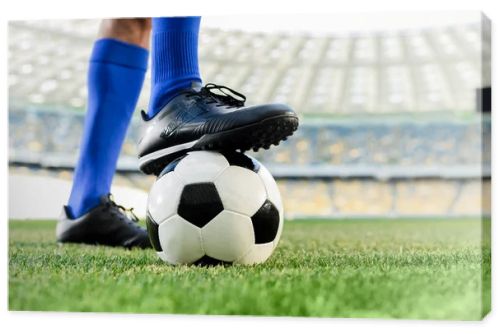 legs of professional soccer player in blue socks and soccer shoes on ball at stadium