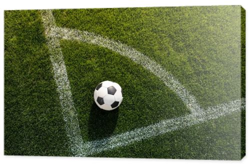 soccer ball on grass