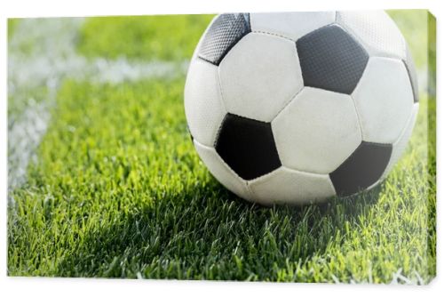 soccer ball on grass