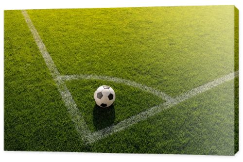 soccer ball on grass