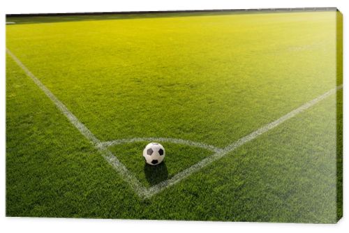 soccer ball on grass