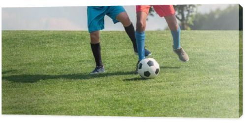panoramic shot of multicultural children playing football on grass 