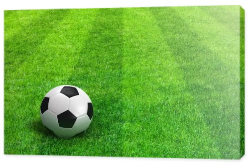 Green striped football field with soccer ball