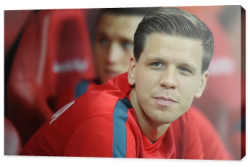 Wojciech Szczesny goalkeeper