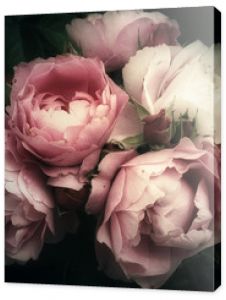 Piękny bukiet różowych kwiatów na ciemnym tle, miękki i romantyczny filtr w stylu vintage wyglądający jak stary obraz