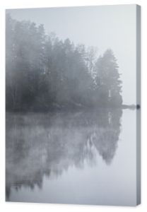 Mystischer Nebel vor einer Insel in einem See mit vielen dunklen Bäumen