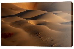 Closeup photo of desert digital wallpaper