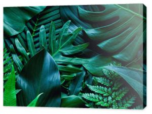 closeup tropical green leaf background. Flat lay, fresh wallpaper banner concept