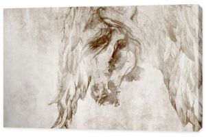 Horse with wings on the wall. Design for wallpaper, mural, wall decoration, poster.