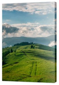 Breathtaking panorama of morning wild nature high in mountains