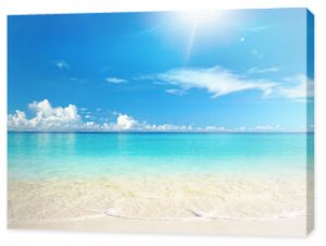 Beautiful sandy beach with white sand and rolling calm wave of turquoise ocean on Sunny day on background white clouds in blue sky. Island in Maldives, colorful perfect panoramic natural landscape.