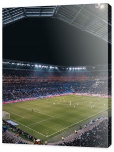Olympique Lyonnais, Stadin, Piłka nożna