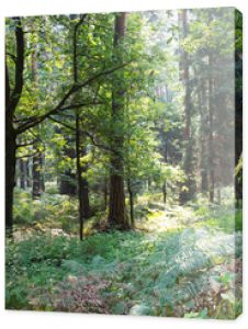 Park Krajobrazowy Cysterskie Kompozycje Krajobrazowe Rud Wielkich