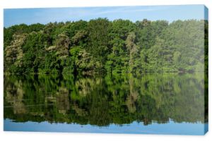 Widok na wiosenny las nad jeziorem. Leśne jezioro wiosną. wiosenny las jezioro krajobraz