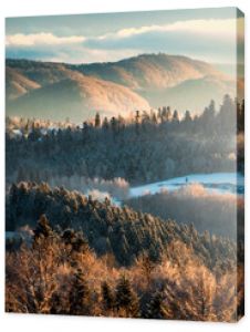 Piękne góry porośnięte lasem w ukrytej porannej mgle oświetlonej światłem wschodzącym słońca Bieszczady Polska