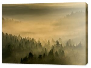Jesienne mgły w Beskidzie Sądeckimmałopolskim