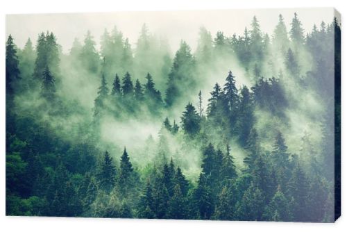 Misty mountain landscape