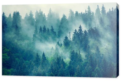 Misty mountain landscape
