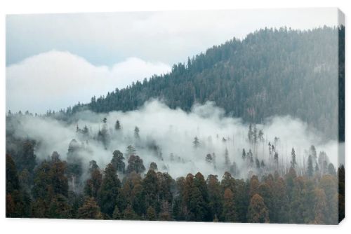 Mountain with fog