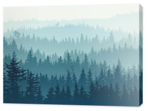 Horizontal illustration of blue coniferous forest.