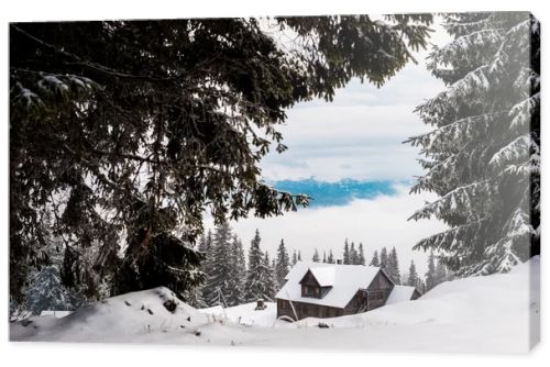 scenic view of pine trees covered with snow near mountain wooden house