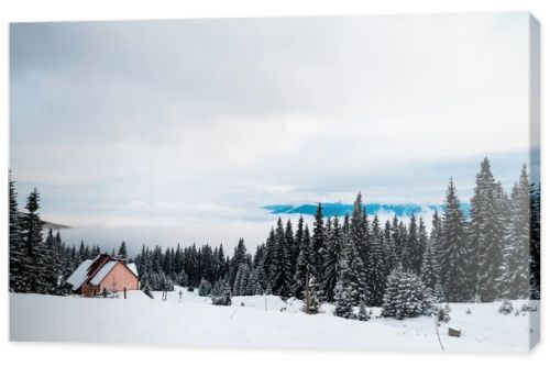 scenic view of wooden house in snowy mountains with pine trees and white fluffy clouds