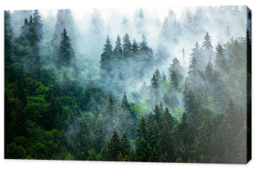 Misty mountain landscape