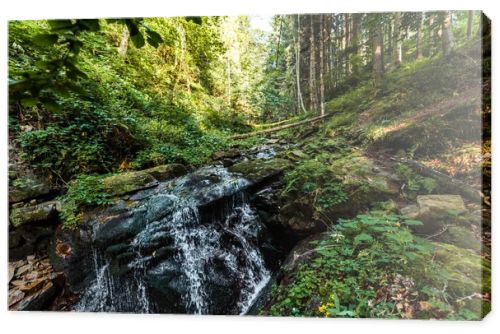 flowing river near wet stones in woods