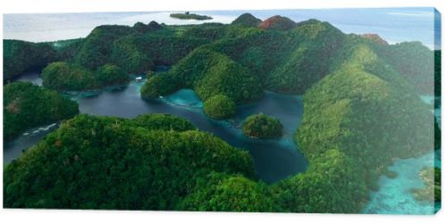 Aerial view of Sugba lagoon. Beautiful landscape with blue sea lagoon, National Park, Siargao Island, Philippines.