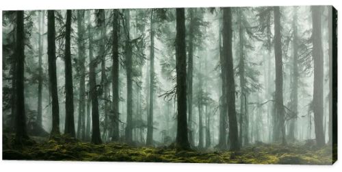 Dramatic, scary dark forest with green bushes, 3d render