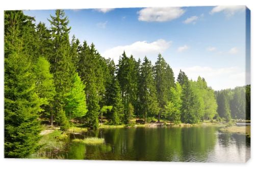 Small Arber Lake - Germany