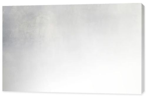 Light gray background texture